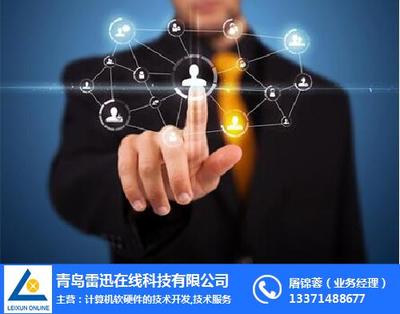 天助易站通雷迅 計算機軟硬件技術(shù)開發(fā)的在線咨詢平臺